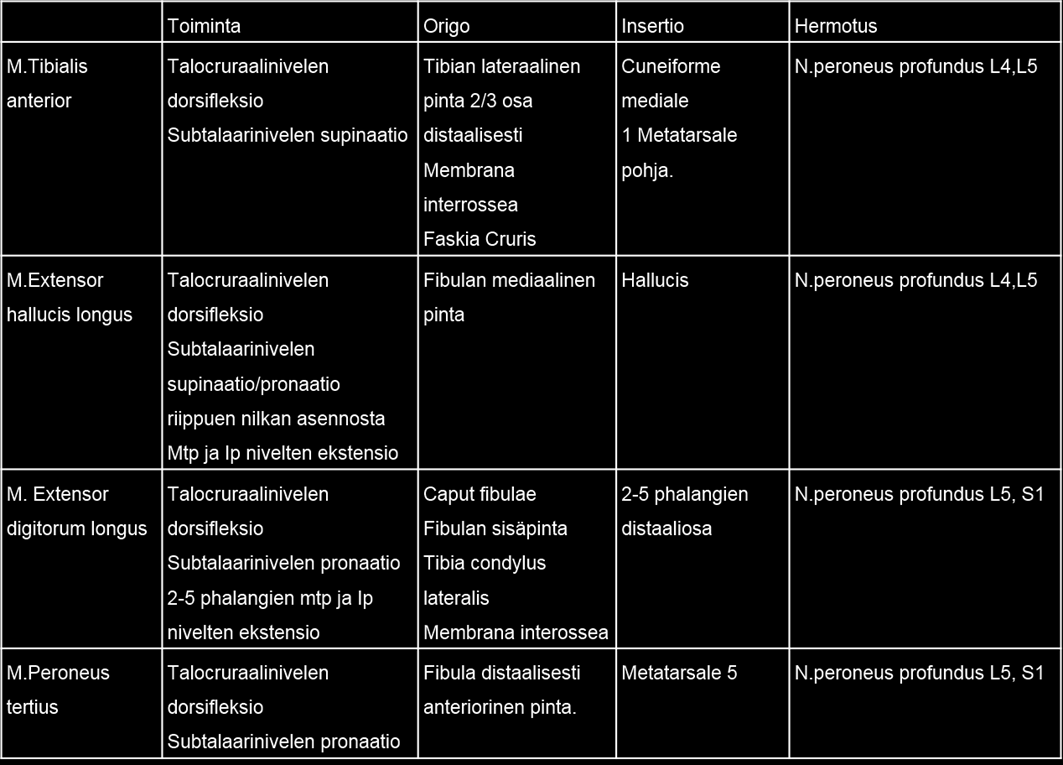 Liite 2 2 (2) Säären lateraalisen ryhmän lihakset (Gillroy 2008: 396;