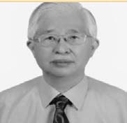 Tzeng GH, Huang JJ (2014) Fuzzy Multiple Objective Decision Making.