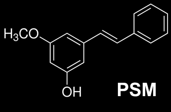 Stilbeenit Pinosylviini 5-[(E)-2-