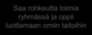 Nuorten kommentteja oppisopimuksesta Onnistumisia Pelkoja Oppii tekemällä töitä ja työelämän pelisääntöjä Hyväksytäänkö porukkaan Ennakkojakso auttoi paljon ja vahvisti ammatinvalintaa Saanko