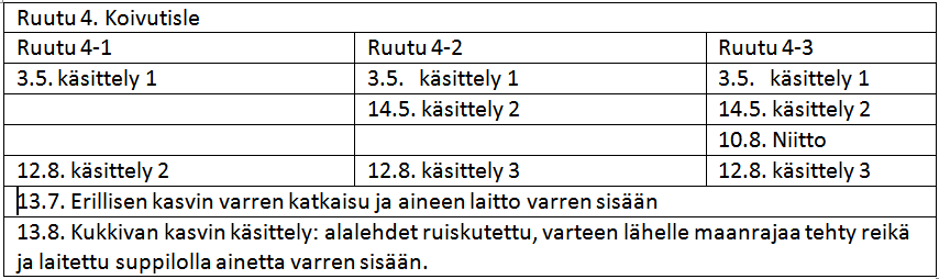 Tuotteen tehoa kokeiltiin myös katkaistuun varteen. Koivutislettä laitettiin 40 cm korkuiseen varteen noin 2 dl. Varsi mustui ja kaatui, mutta juurakosta nousi uusi kasvu noin viikossa.