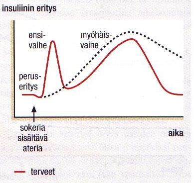 Insuliinin eritys