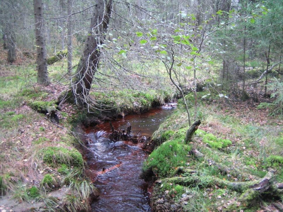 Mykrä, Jermi Tertsunen Sanginjoen