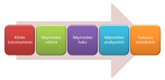 17 4 OPINNÄYTETYÖN KÄYTÄNNÖN TOTEUTUS 4.1 Opinnäytetyön toteutus Tämän opinnäytetyön tekemiselle haettiin toimeksiantolupa Kliinisen virologian laboratoriolta, josta opinnäytetyön aihe saatiin.
