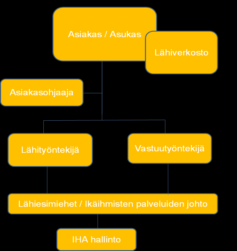 19 Asiakaslähtöinen organisaatiokaavio 9. Muuta huomioitavaa 9.1. Asiakasosallisuus Asiakasosallisuus tarkoittaa palvelujen käyttäjien mukaan ottamista palvelujen suunnitteluun ja toteutukseen.