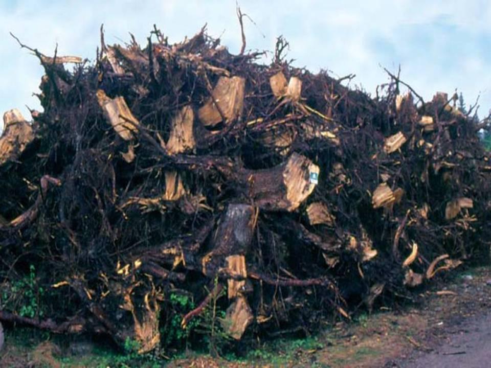 Metsähakkeen käyttö, 1000 m 3 /a Suomen metsähakkeen käyttö