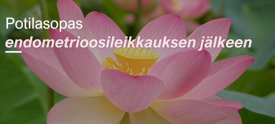 Liite 1 Yhdistys tarjoaa vertaistukea monipuolisesti eri puolilla Suomea.