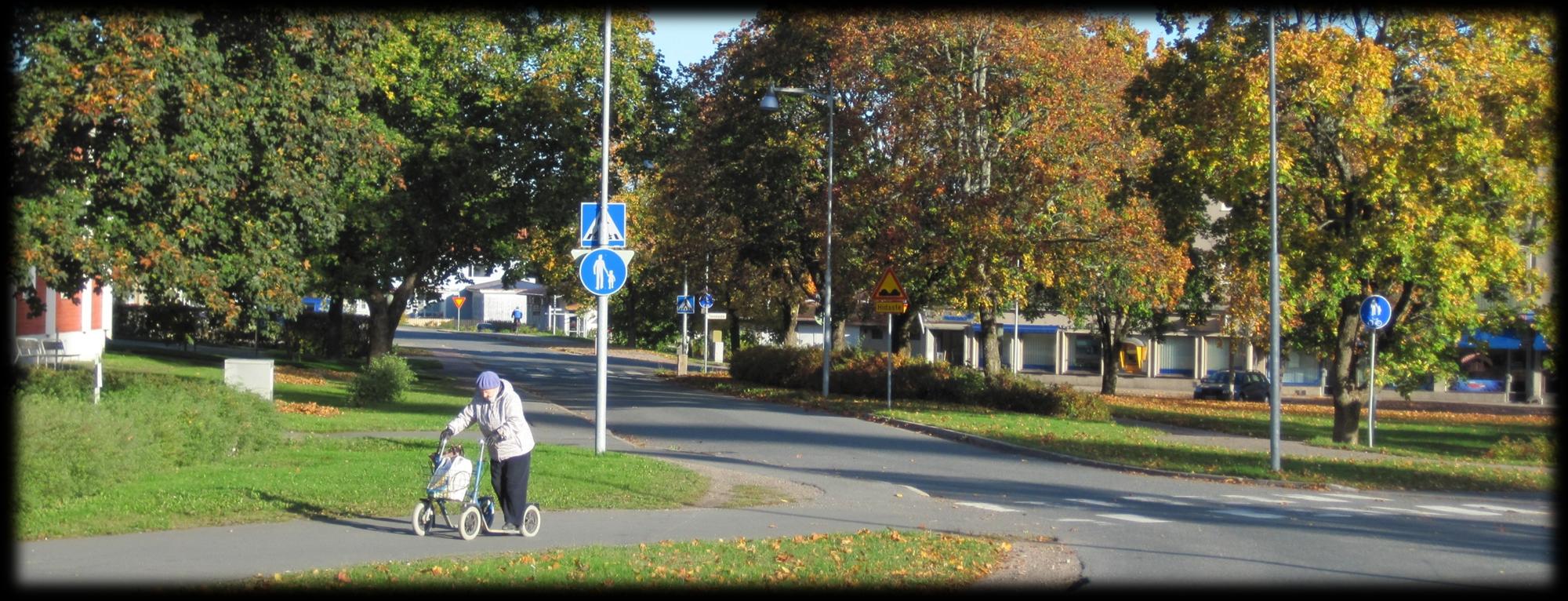 EKOLIITU - HÄMEENLINNAN SEUDUN KESTÄVÄN JA