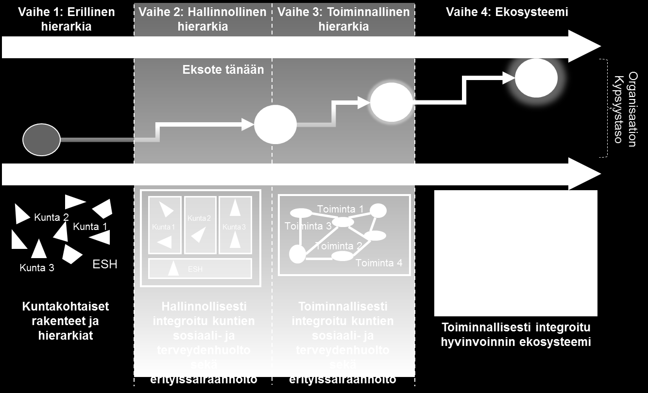 2.3 Julkisten sosiaali- ja terveyspalvelujen erityispiirteet 55 voitiin kuitenkin jakaa kolmeen kategoriaan: taloudelliset tulokset (esim.