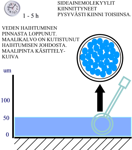 LIUOTINMAALI / VESIOHENTEINEN MAALI / LIUOTTEETON MAALI /