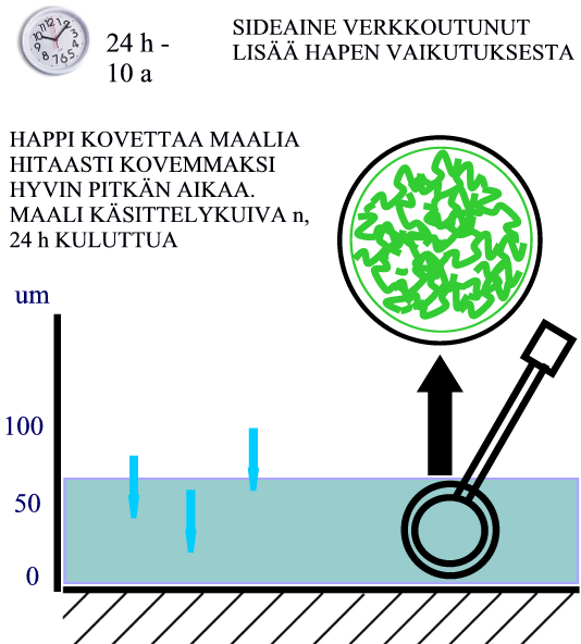 ALKYDIMAALIT Kuva 23 Alkydimaalin kalvonmuodostus. Vaihe 4.