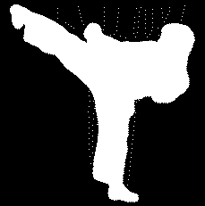 Karate Karate on sekä urheilulaji että itsepuolustusmenetelmä. Se on erinomainen tapa ylläpitää hyvää yleiskuntoa, sillä siinä kehittyvät kehon kaikki osat.
