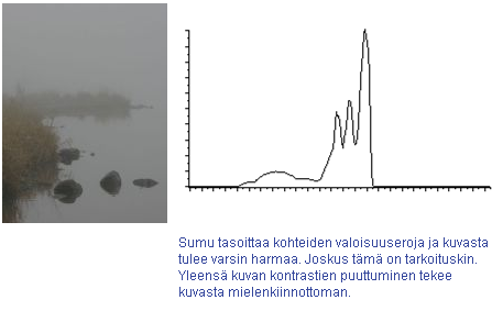 Seuraa kuvan histogrammia!