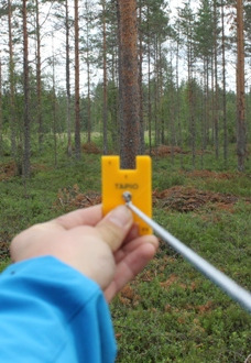 Metsänhoidon laadunhallinta Osa metsänhoidon suosituksia Hoito- ja puukauppasopimuksissa sovittavat kohdat Laadunseuranta Työn laadulla metsänhoitotöissä on merkitystä, sekä