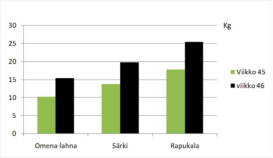 Kuluttajat pitivät pihveistä 100 % 90 % 80 % 70