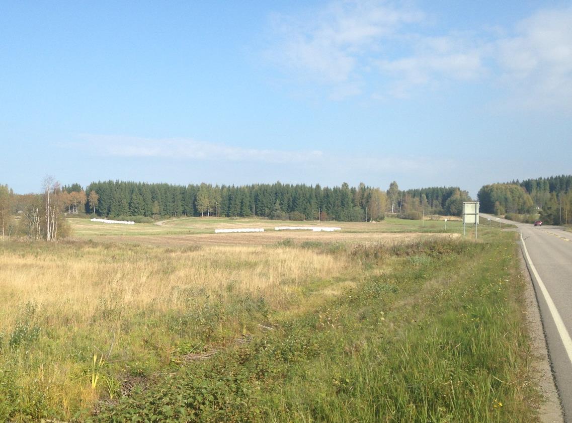 metsän siluetissa. Maantie leikkaa metsän reunan suorassa kulmassa ja sen puuton vyöhyke erottuu kaukomaisemassa pitkälle (oranssi ympyrä).