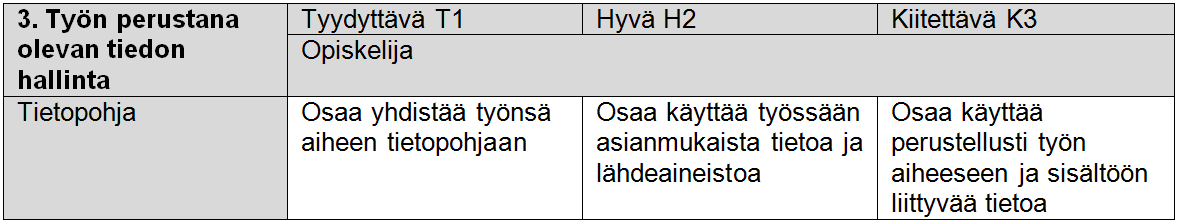 3. TYÖN PERUSTANA