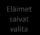 Kompostilannoituskoe Kompostilannoitus (20 t/ha) lisäsi 18 % tarjolla olevan rehun määrää, mutta ei syödyn rehun määrää, koska lannoitetun laitumen syönti-korkeus oli lannoittamatonta 1,4 cm