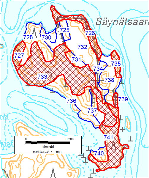 Kuva 65. Säynätsaaren inventoidut kuviot (siniset rajaukset ja numerot). METSOkriteerit täyttävät kuviot on merkitty punaisella rasterilla.