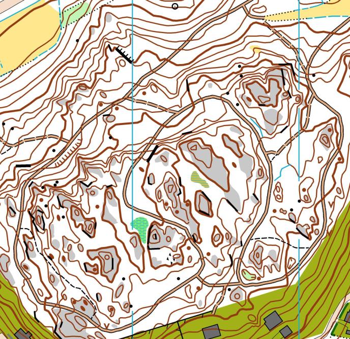 Liian vaalea värisävy ja kapea reunaviiva eivät korosta polkuja metsässä Polut jäävät korkeuskäyrien ja