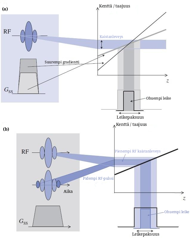 gradientilla vaatii noin 20 khz taajuussiirtymän. Leikepaksuus on: leikepaksuus = RF-pulssin kaistanleveys γg z. (2.