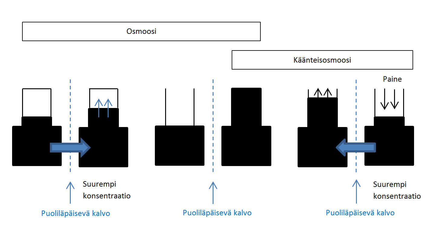 29 Kuva 5. Osmoosin ja käänteisosmoosin periaate 5.2.2 Laitteisto Suodatinkalvo on tyypiltään joko epäsymmetrinen homogeeninen tai yhdistelmä.
