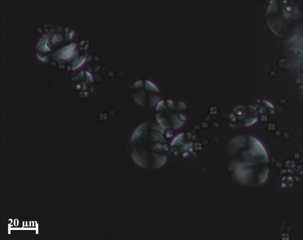 55 Kuva 24. Mikroskopoitu vehnätärkkelys (VTFS) valossa ja polarisoidussa valossa. 7.3 