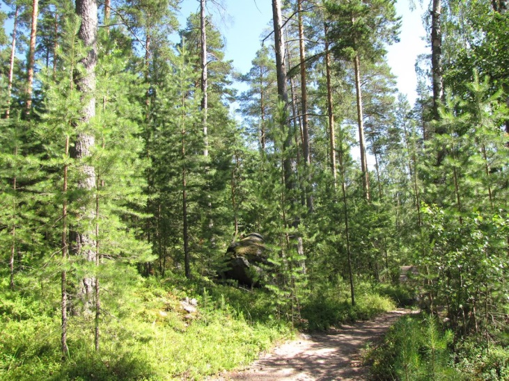 Tämän kannaksen molemmat rannat ovat sorapohjaisia oligotrofisia rantoja. Kannaksen koillisrannalla on venesatama (Kuva 8.), jonka eteläpuolella on pitkä ja kapea vedenalainen särkkä (ks.