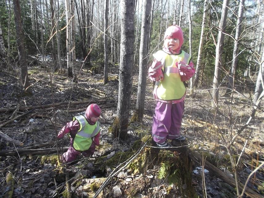 SISÄLLÖLLISET ORIENTAATIOT Sisällölliset orientaatiot toimivat kasvattajien työvälineinä laadukkaan varhaiskasvatuksen toteuttamiseksi.