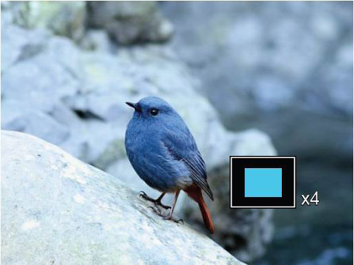 3. Kun näytössä on 4x4 kuva, voit siirtyä päivämäärän toistotilaan painamalla W-painiketta. Zoomin käyttö toistoon (vain still-kuville) Zoomauspainikkeita voidaan käyttää myös toiston aikana.