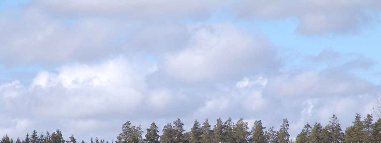 10 / 28 Turku / Pasi Lappalainen & OU & eto & JNä 3.1.3.2 Yhdyskuntarakenne Asemakaavan muutosalue sijaitsee Raision ja Naantalin kaupungin sekä Maskun kunnan alueella.