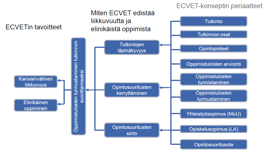 KUVA 3. ECVET:n tavoitteet ja periaatteet.