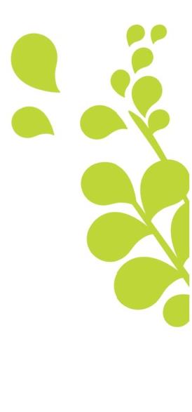riskit ja rahoitus Etabloituminen