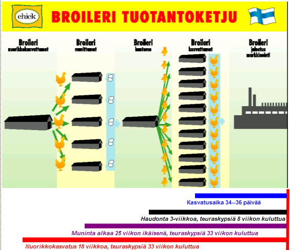 Esim. Tuotantoketjun