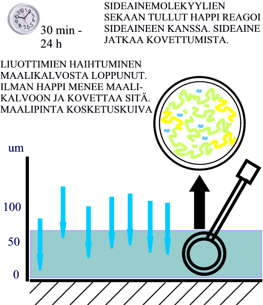 KOVETTEENA HAPPI Kuva 20. Hapettumalla kovettuvan maalin kalvonmuodostus. Vaihe 2.