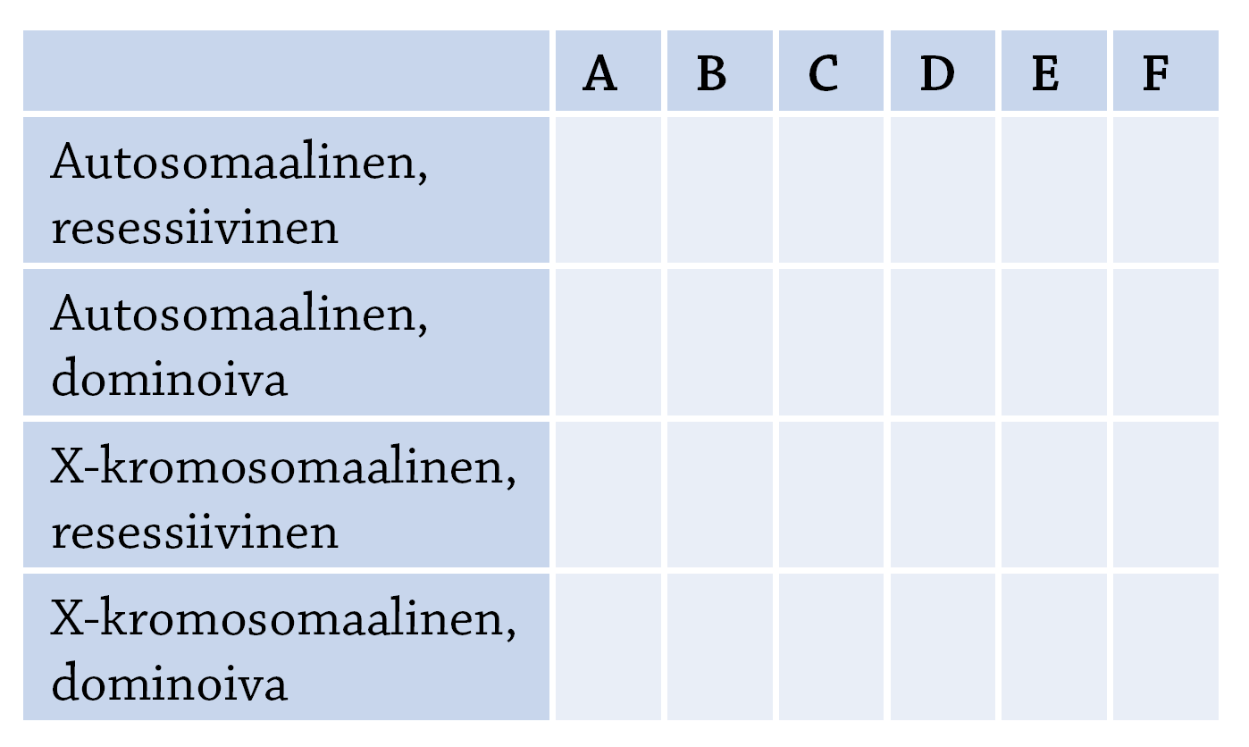 VASTAUS 5: Ihmisen sukupuut (YO-tehtävä S-99)