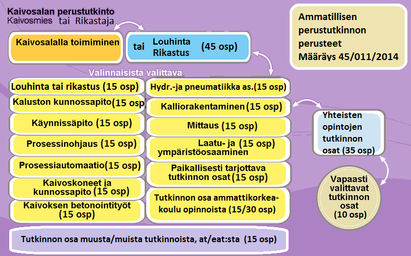 21 6 KAIVOSALAN KOULUTUS AMMATTIOPISTOSSA Kaivosalan ammatillinen perustutkinto voidaan suorittaa ammatillisena perustutkintokoulutuksena tai näyttötutkintona.