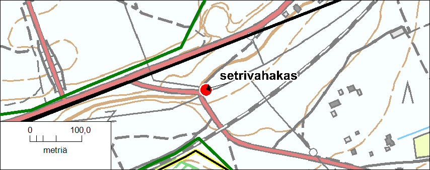 Kuva 37. Setrivahakkaan kasvupaikka Kiljavan aseman pohjoispuolella.