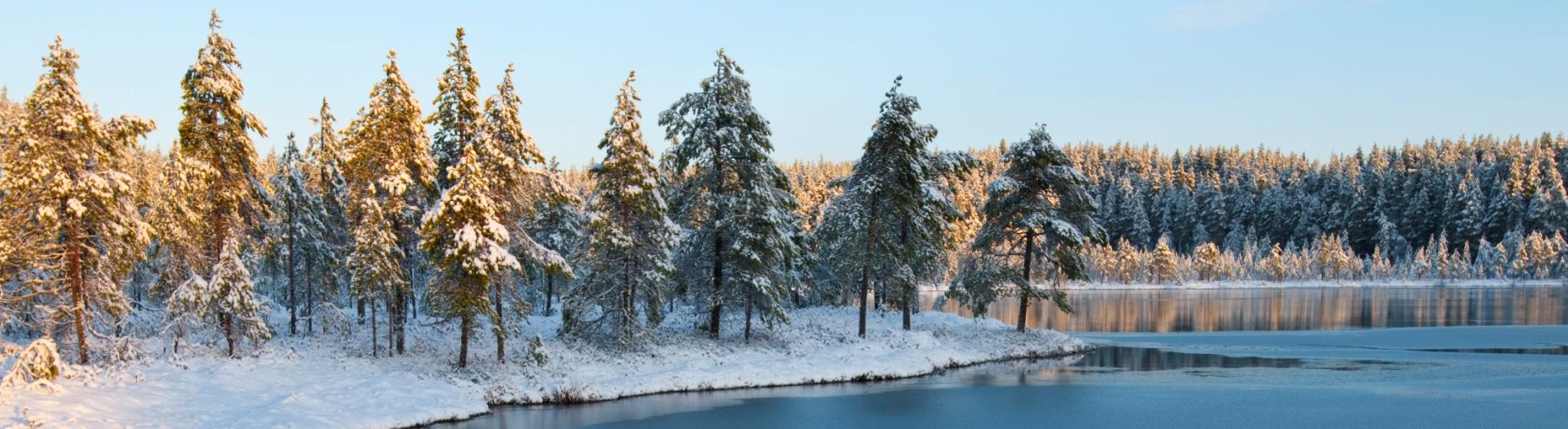Seitsemisen kansallispuisto Ajo-ohjeet Seitsemisen kansallispuisto sijaitsee Pohjois- Pirkanmaalla, noin 80 km Tampereen luoteispuolella.