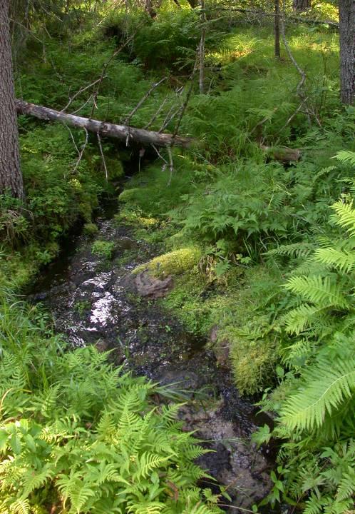 METSÄTALOUDEN VESIENSUOJELU Seminaari Valuma-alueen vesiensuojelutoimet