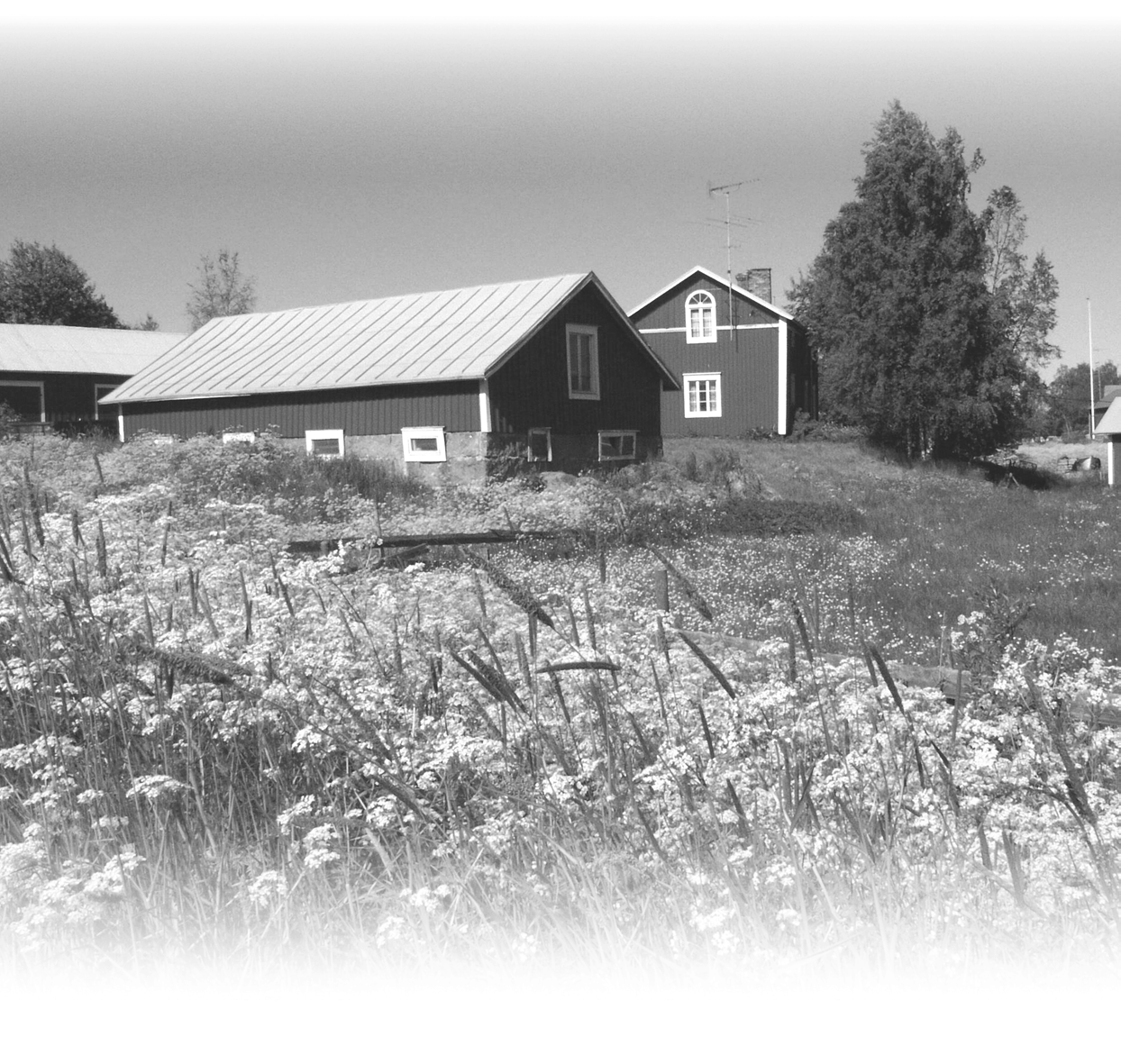 WehoPuts 6 ja 10 jäteveden