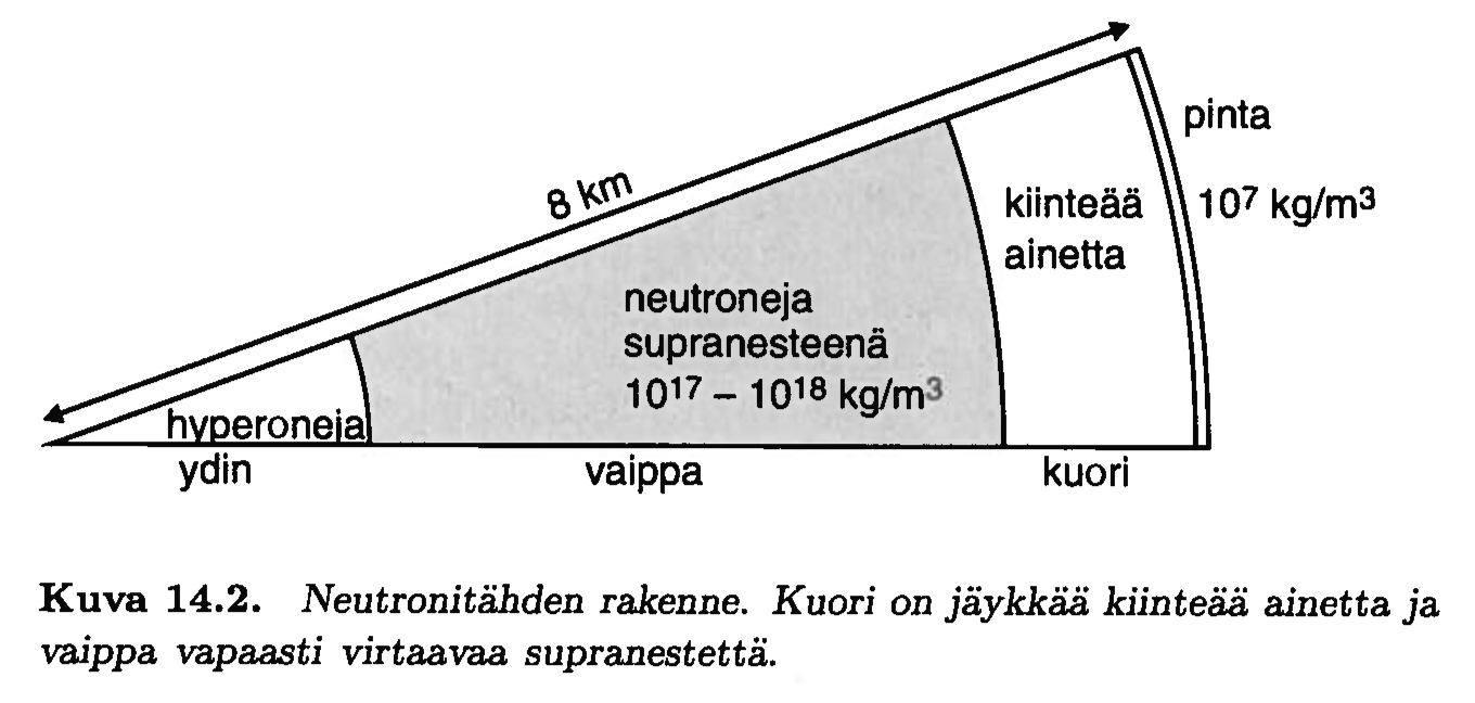 14.2 Neutronitähdet Baade & Zwicky 1934: supernovaräjähdys synnyttää neutronitähden Hämmästyttävän oikea ennuste!