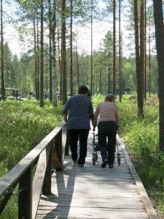 Kotihoidossa tuotetaan lisäksi sairaanhoidollisia palveluja henkilöille, jotka eivät alentuneen toimintakyvyn tai sairauden vuoksi pysty käyttämään muita terveyden- ja sairaanhoidon palveluita.