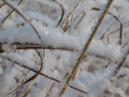 Viljaviesti, 2/2015 13.2.2015 Lukijalle Viljelysuunnitelmat ovat monella tilalla jo hahmottuneet. Tänä keväänä viljelijöiltä on vaadittu perehtymistä myös maataloustuen tuleviin muutoksiin.