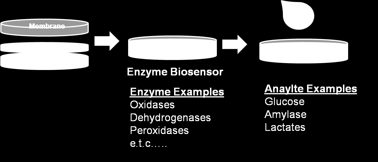 ENTSYYMI