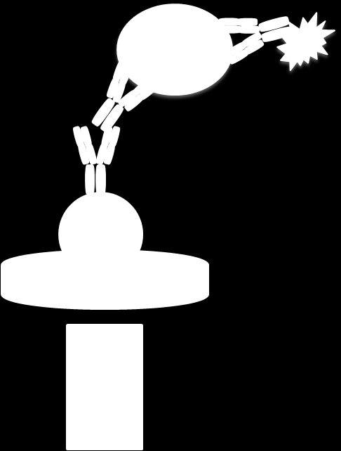 Magneettisten kuulien
