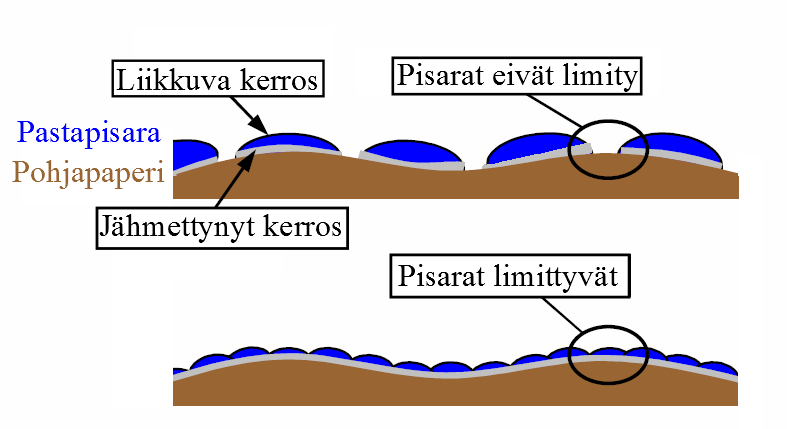 14 pohjapaperin tulisi imeä vettä mahdollisimman hitaasti, kun taas pastan vesiretention pitäisi olla korkea.