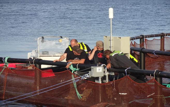 LUKE:n hankkeita vesiviljelyn kehittämiseksi Kalankasvatuksen kestävä kasvu tuotannon mahdollistaminen uusilla merialueilla Ympäristötehokas