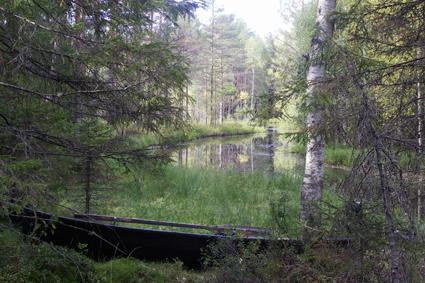 Taikakivi Karjalan puolella rajaa Maljasalmen kylässä Juojärven Konttilanniemen tyvessä Taikakivi lienee saamelaisaikojen seita.