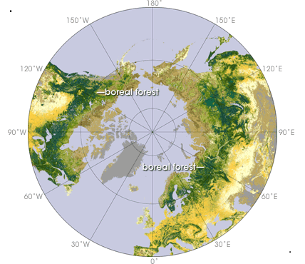 Suomi on osa